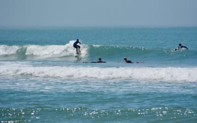 Surf